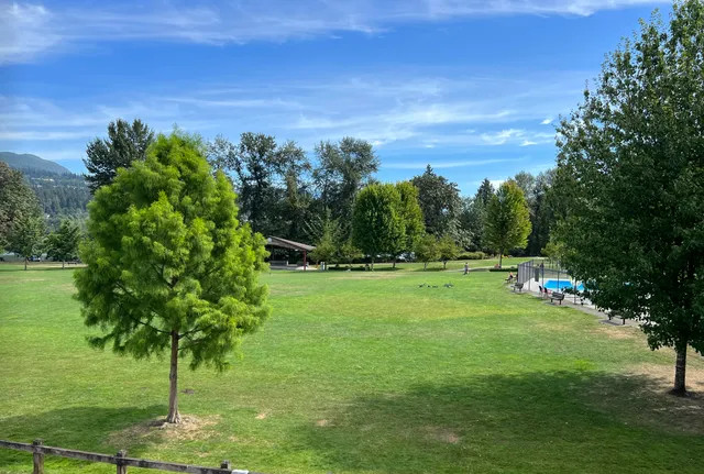 A green park and trees in Port Moody on a sunny day.